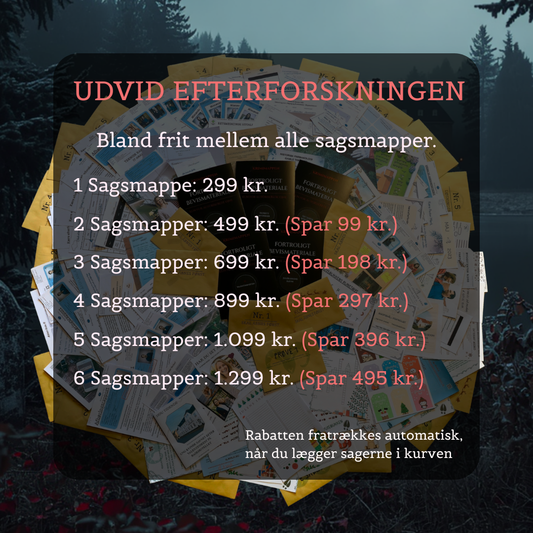 Flugten fra Vikingeborgen