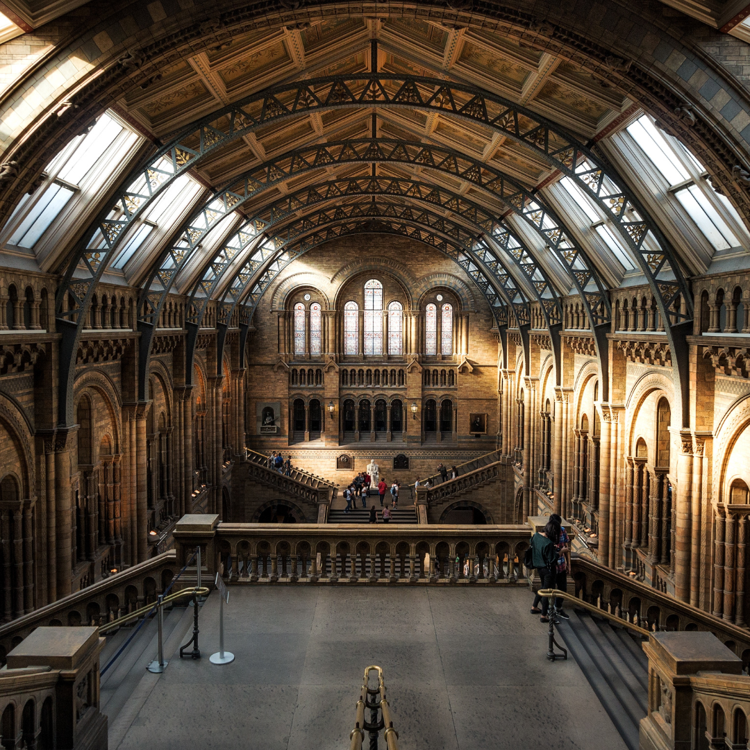 Museets Mysterier